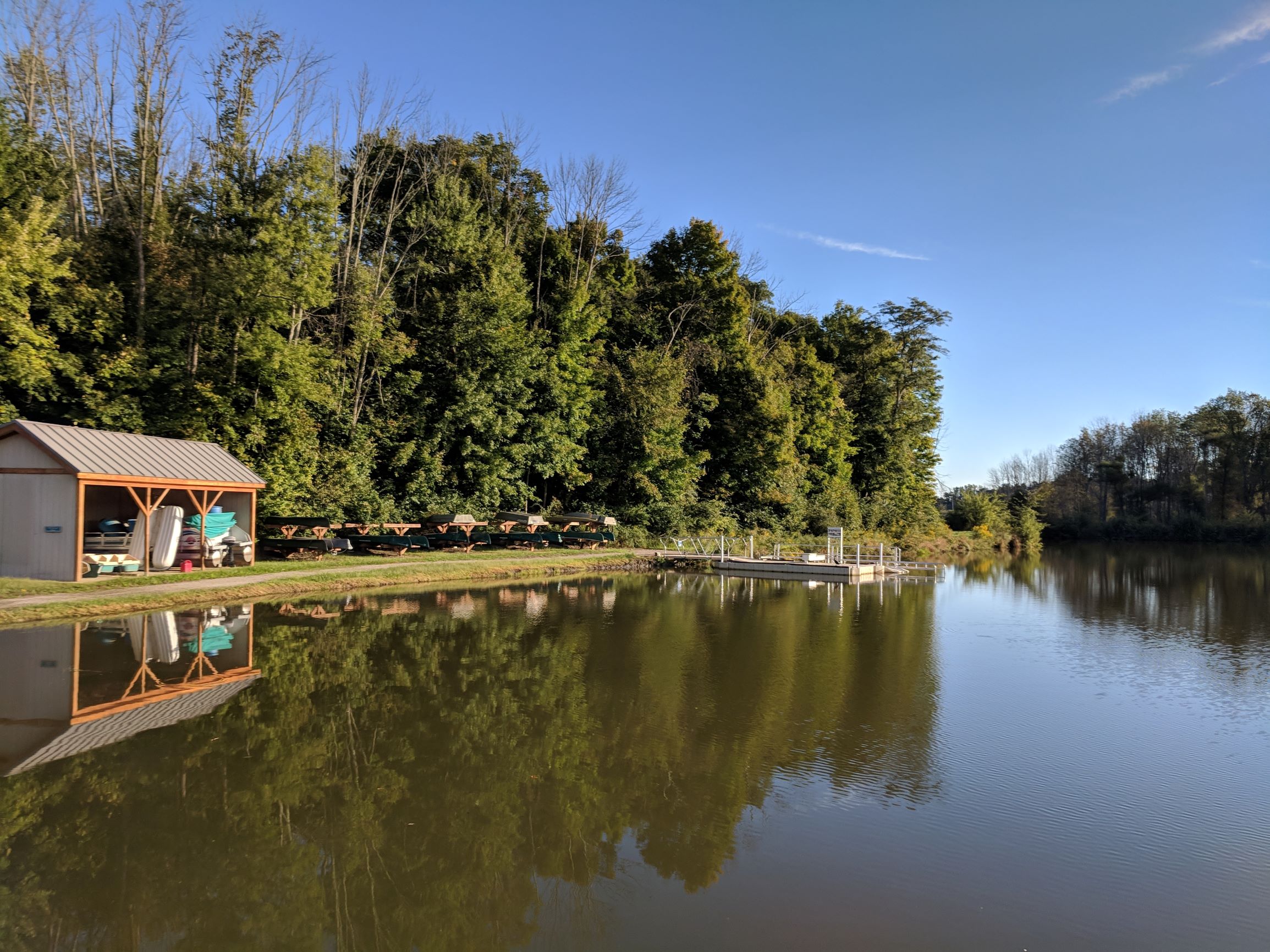 The Wild Gork: Tales from a Week at Camp